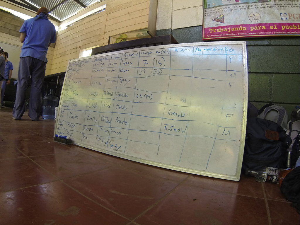 International Veterinary Outreach: Nicaragua