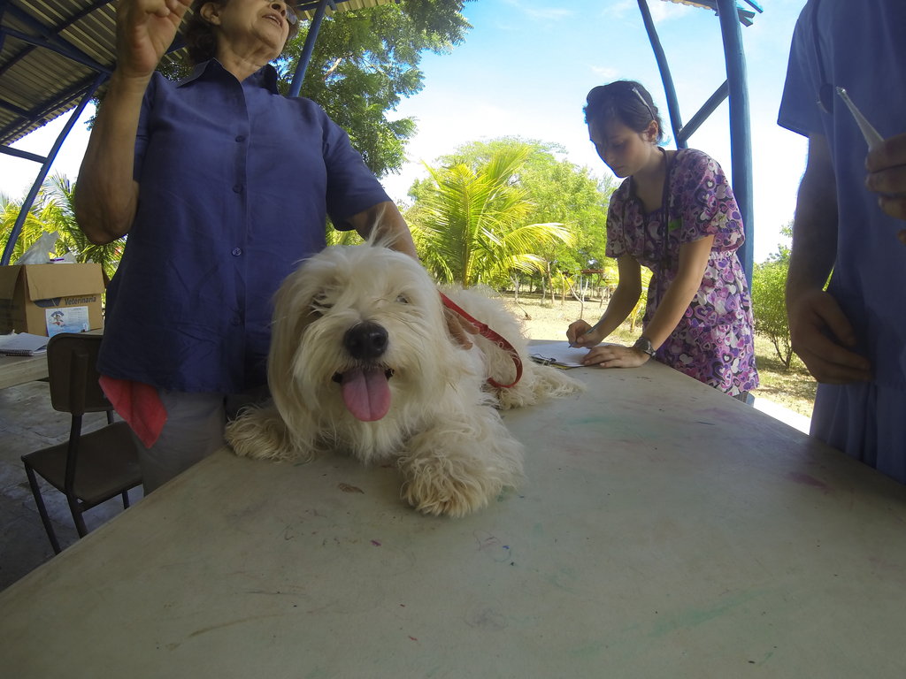 International Veterinary Outreach: Nicaragua