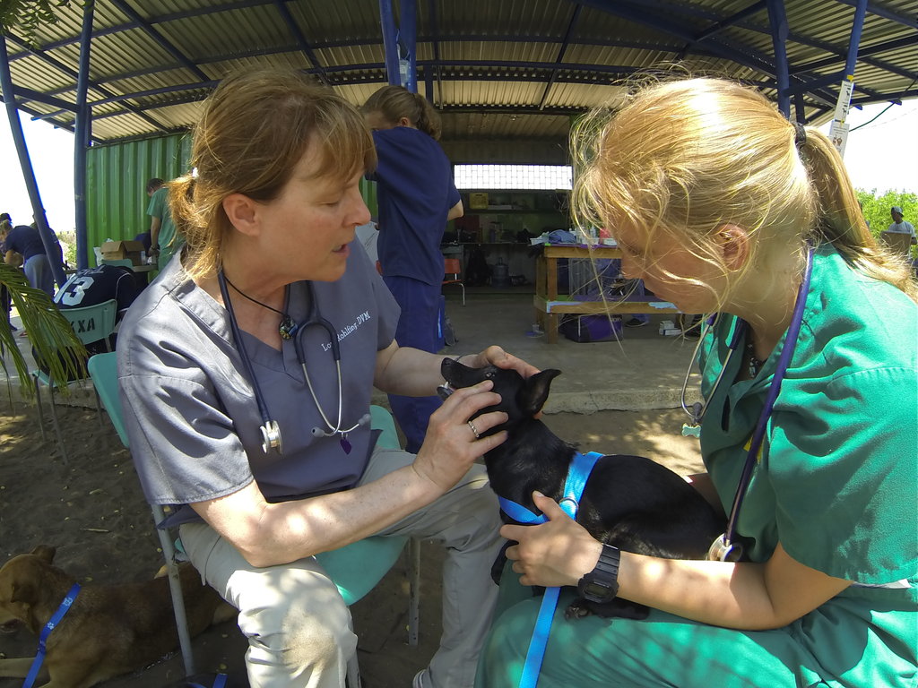 International Veterinary Outreach: Nicaragua