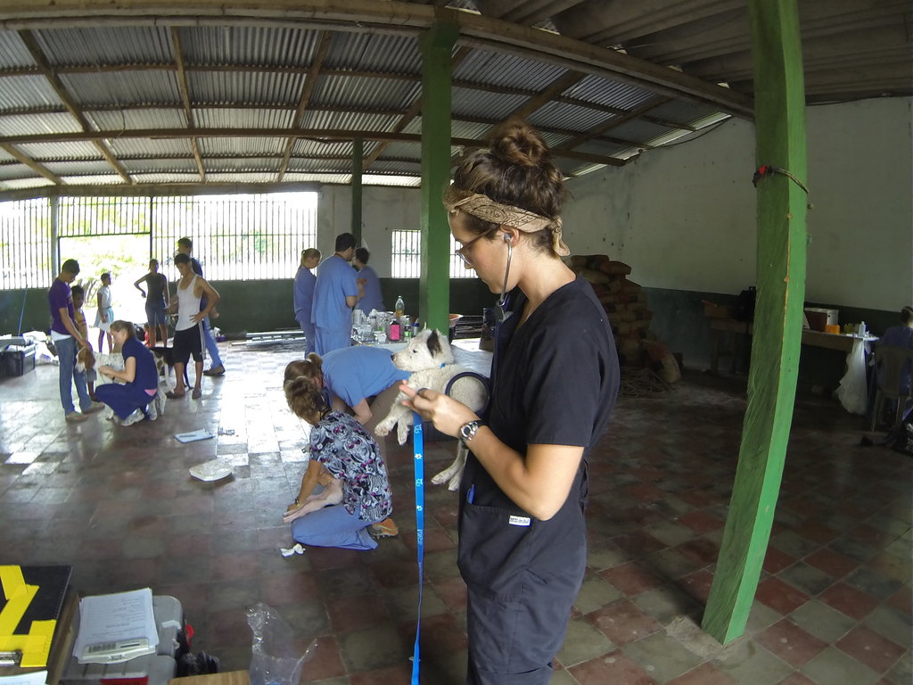 International Veterinary Outreach: Nicaragua