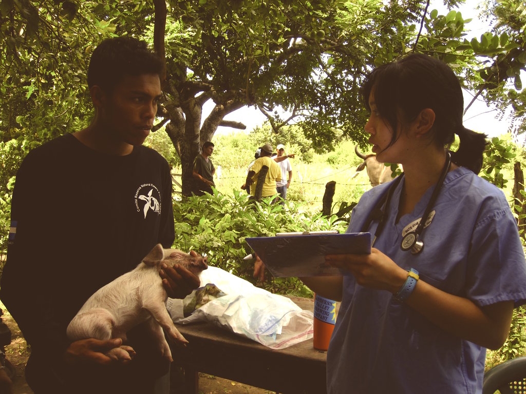 International Veterinary Outreach: Nicaragua
