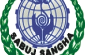 Model School in Sundarban