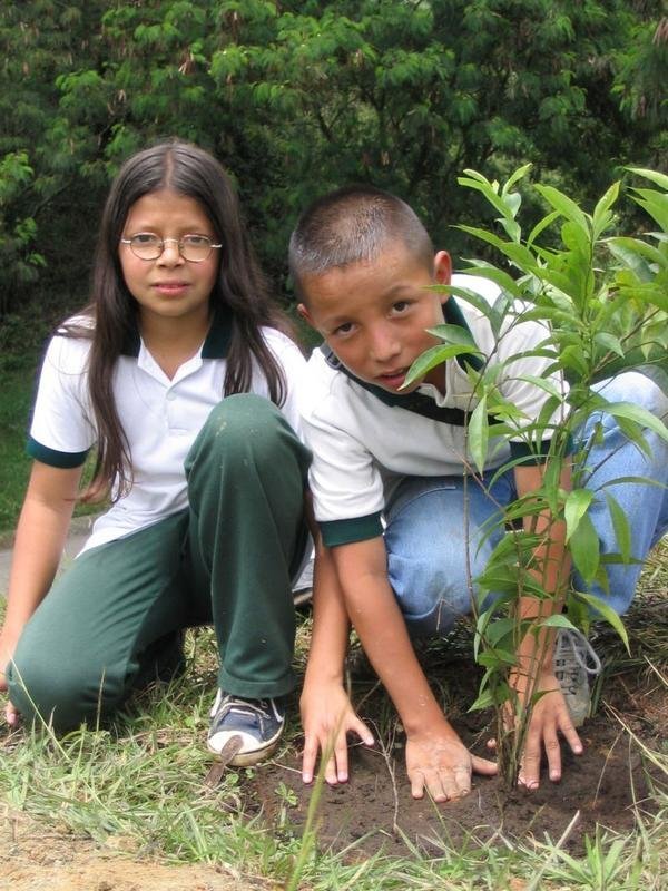 A Tree for Peace: why protect Chocó's Biodiversity
