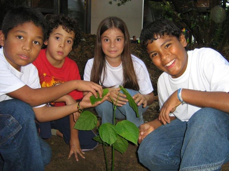A Tree for Peace: why protect Chocó's Biodiversity