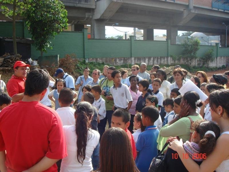 A Tree for Peace: why protect Chocó's Biodiversity