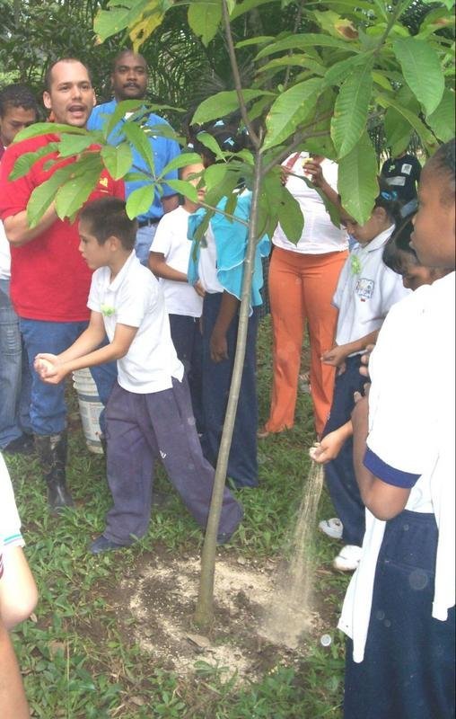 A Tree for Peace: why protect Chocó's Biodiversity