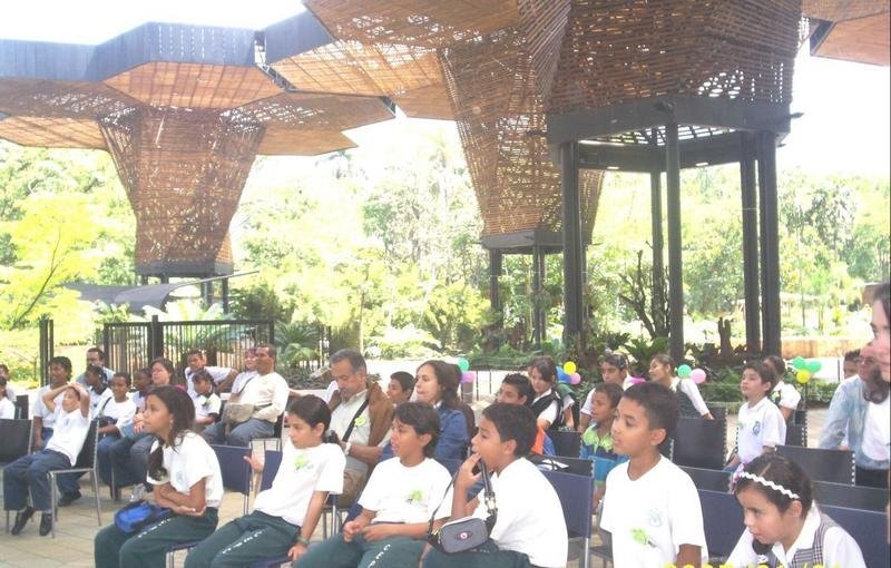 A Tree for Peace: why protect Chocó's Biodiversity