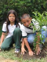 Children Plant Trees (2005)