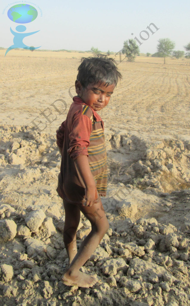 Support 50 Deprived families in Cholistan (Desert)