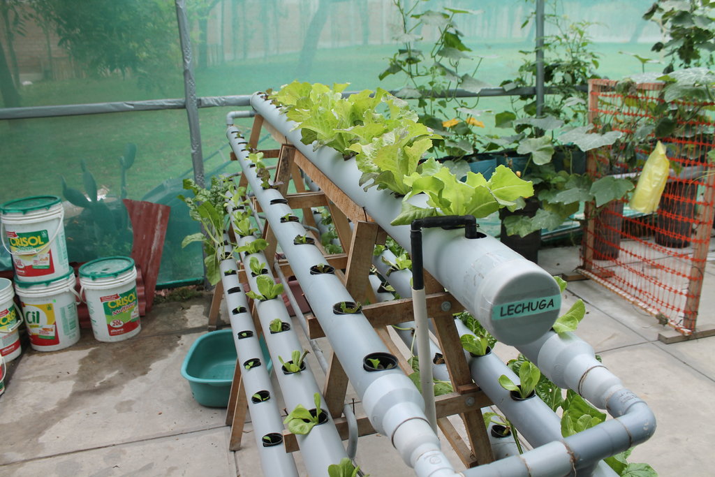 hydroponic gardens home preventing malnutrition with hydroponic gardens globalgiving hydroponic gardens home preventing malnutrition with hydroponic gardens globalgiving