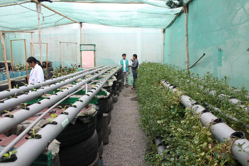 hydroponic gardens wall mounted preventing malnutrition with hydroponic gardens globalgiving hydroponic gardens wall mounted preventing malnutrition with hydroponic gardens globalgiving