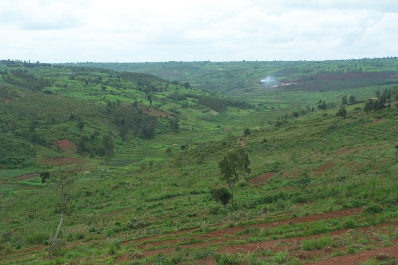 Help Rwandan women learn to farm, support families