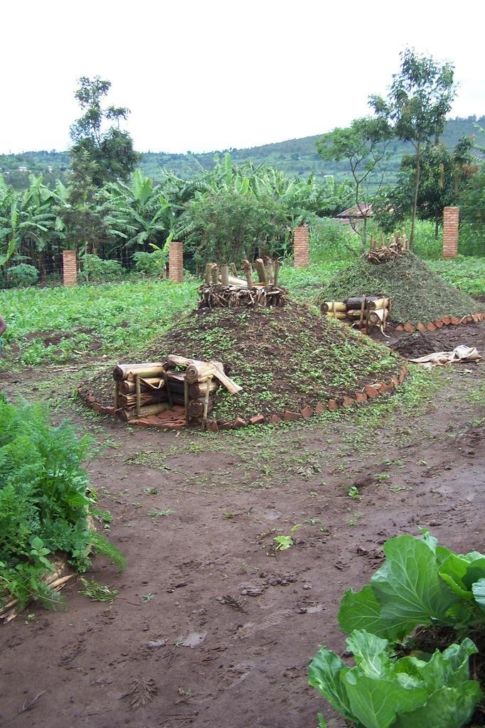 Help Rwandan women learn to farm, support families