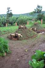 Farm in Rwanda