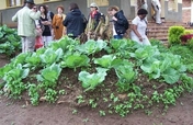 Help Rwandan women learn to farm, support families
