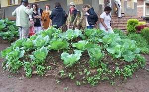 Help Rwandan women learn to farm, support families