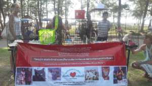 Sunday Adoption Clinic at Local Park