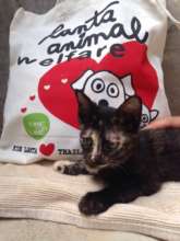 Lanta Animal Welfare Eco-Tote Bag