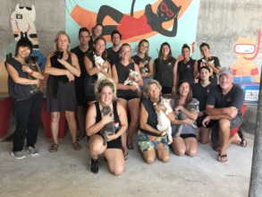 New managers and volunteers in Kitty City