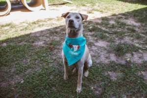 Andrzej wearing a LAW Bandana