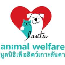 Our New Updated Logo