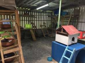 Old Cat House - What a difference you've made!