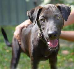 Adorable Seth found his forever family last week