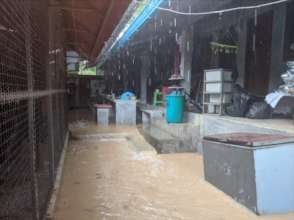 Volunteer area under rising floodwater