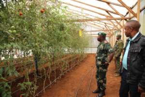 General Ilunga visiting the tomato Greenhouse