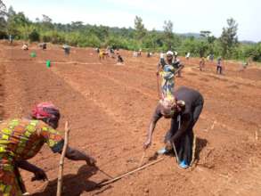 Field Training while observing social distancing