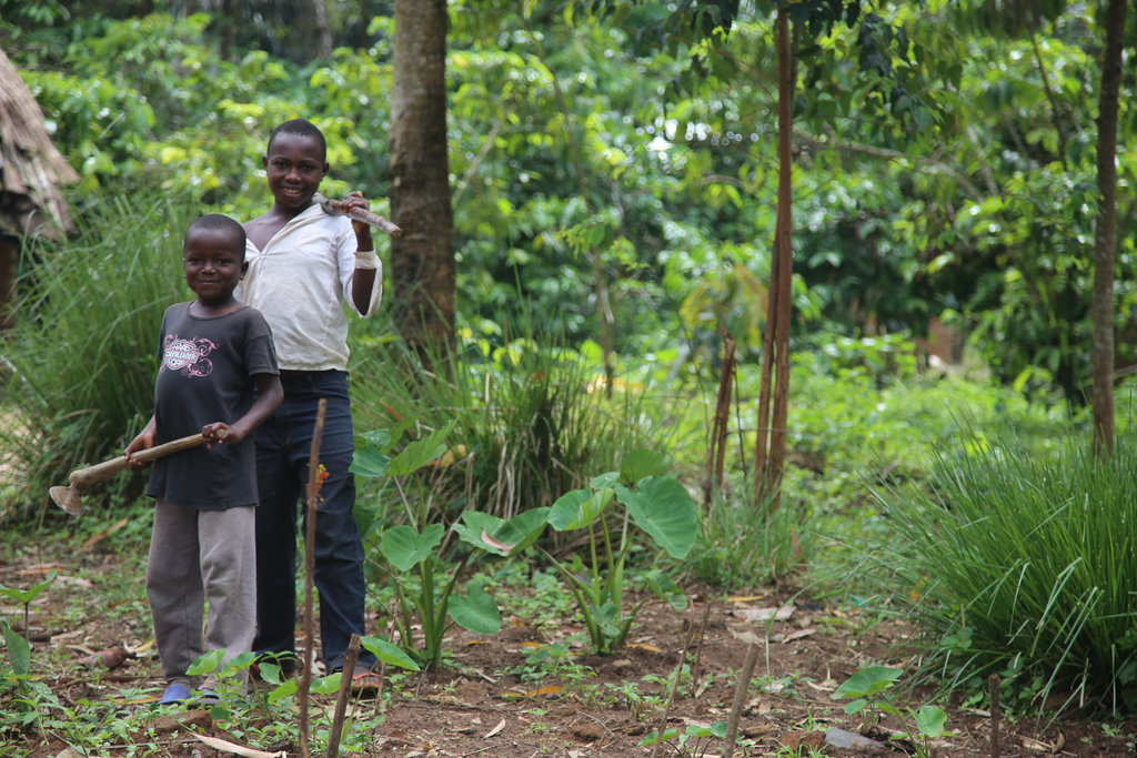 Building Agribusinesses to end Poverty in DR Congo