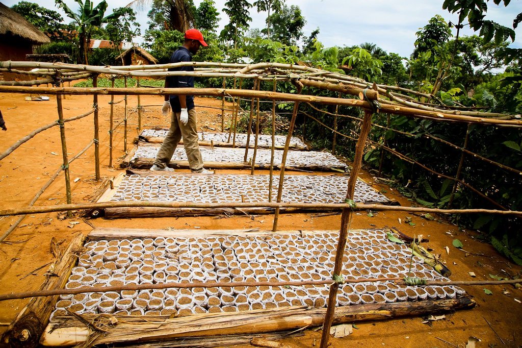 Building Agribusinesses to end Poverty in DR Congo