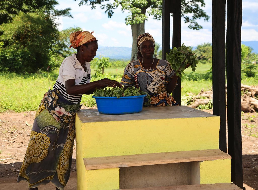 Building Agribusinesses to end Poverty in DR Congo