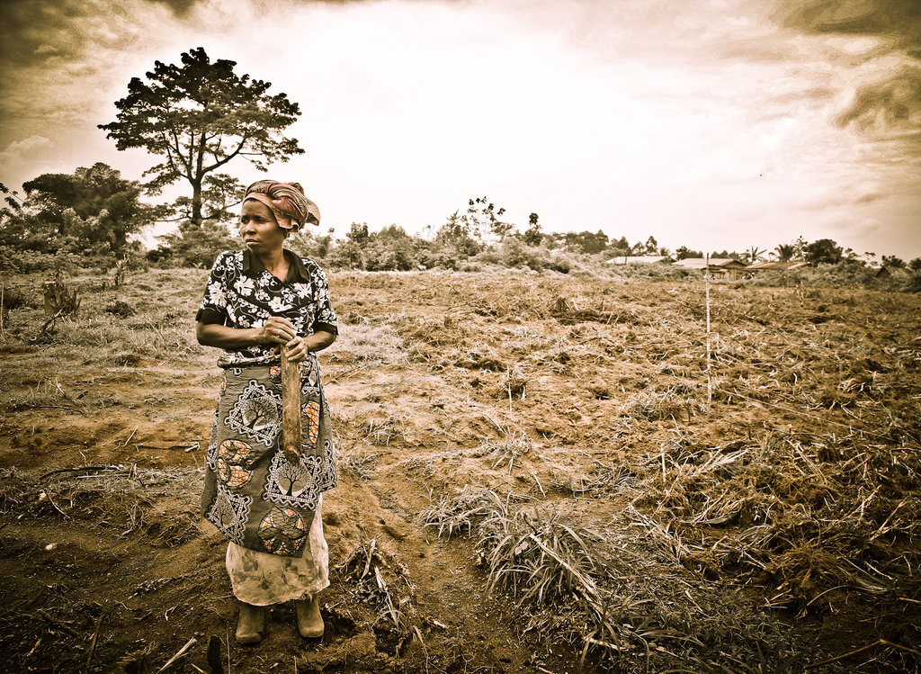 Building Agribusinesses to end Poverty in DR Congo