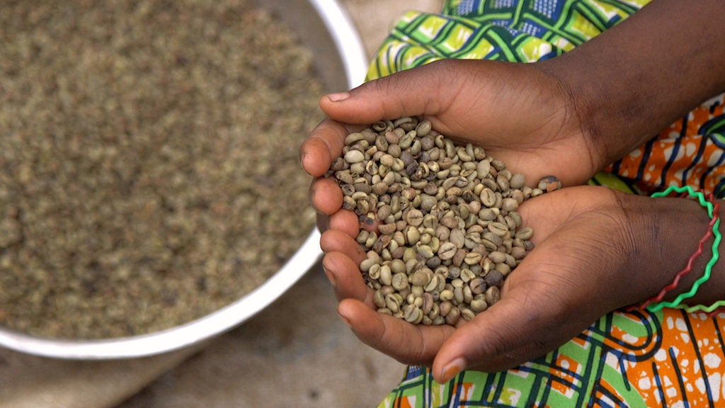 Building Agribusinesses to end Poverty in DR Congo