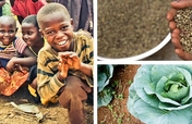 Building Agribusinesses to end Poverty in DR Congo