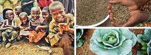 Building Agribusinesses to end Poverty in DR Congo