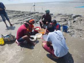 Engaging fishermen for horseshoe crab protection