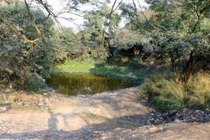 Status off Lota devi temple before intervention