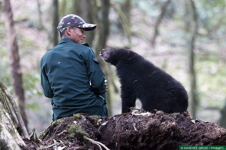 Help rescue & rehabilitate Bear cubs- Support CBRC