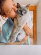 Adopted!