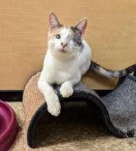 Chiarra was found with a ruptured eye.