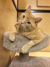 Foster was left in a box with a broken pelvis.