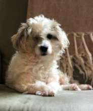 Kadyn was hit by a car and left in the street.