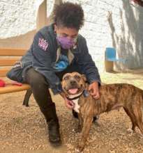 Adopted!