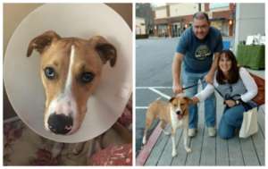 Barney is loved by his new family