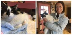 Daryl after surgery (l.) and with his new mom