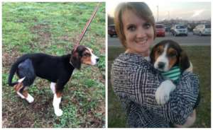 Fonzie after surgery (l.) and with his new mom