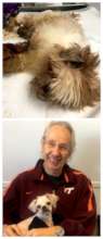 Once matted (top), Freddy is now happily adopted!