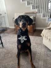 Officially adopted!